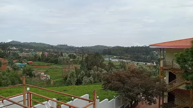 RESORT_VIEW_oogzdz